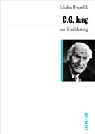 Micha Brumlik, Michael Brumlik - C. G. Jung zur Einführung
