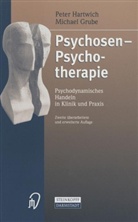 Grube, Michael Grube, Hartwic, Pete Hartwich, Peter Hartwich, Maria Magdalene Nabbe - Psychosen-Psychotherapie