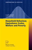 Camil Dagum, Camilo Dagum, FERRARI, Ferrari, Guido Ferrari - Household Behaviour, Equivalence Scales, Welfare and Poverty