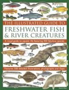 Daniel Gilpin - Illustrated Guide to Freshwater Fish & River Creatures