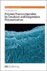 Elodie Bourgeat-Lami, Vikas Mittal, Vikas (BASF Mittal, Harold Craighead, Harry Kroto, Vikas Mittal... - Polymer Nanocomposites By Emulsion and Suspension Polymerization