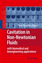 Emil Brujan, Emil-Alexandru Brujan - Cavitation in Non-Newtonian Fluids