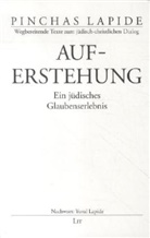 Pinchas Lapide - Auferstehung
