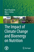 Noora L. Aberman, Marc J Cohen, Marc J. Cohen, J Cohen, J Cohen, Janice Meerman... - The Impact of Climate Change and Bioenergy on Nutrition