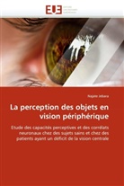 Najate Jebara, Jebara-N - La perception des objets en