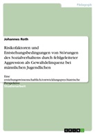Johannes Roth - Risikofaktoren und Entstehungsbedingungen von Störungen des Sozialverhaltens durch fehlgeleiteter Aggression als Gewaltdelinquenz bei männlichen Jugendlichen