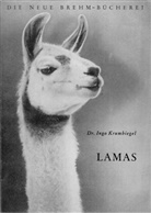 Ingo Krumbiegel - Lamas