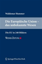 Waldemar Hummer - Die Europäische Union - das unbekannte Wesen