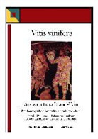 Gerda Dauz, Pete König, Peter König, Peter / Weiland König, Jürge Weiland, Jürgen Weiland - Vitis vinifera - Arzneimittelprüfung Wein