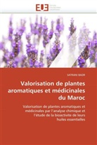 Satrani Badr, Badr-S - Valorisation de plantes