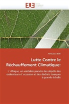 Amouzou BEDI, Bedi-A - Lutte contre le rechauffement