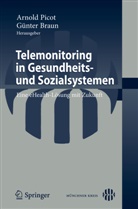 Braun, Braun, Günter Braun, Arnol Picot, Arnold Picot - Telemonitoring in Gesundheits- und Sozialsystemen