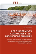 Aimable UWIZEYE, Uwizeye-A - Les changements climatiques et