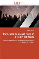 Xavier Bekaert, Bekaert-X - Particules de masse nulle et de