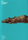 Jill Cook, Cook Jill - The Swimming Reindeer