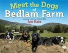 Jon Katz, Jon Katz, Jon Katz - Meet the Dogs of Bedlam Farm