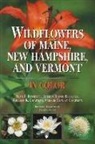 Alan Bessette, Alan E. Bessette, Arleen Bessette, Arleen R. Bessette, Arleen Raines Bessette, Valerie Chapman... - Wildflowers of Maine, New Hampshire, and Vermont