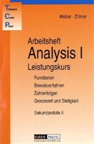 Hans-Joachi Becher, Geor Brückner, Eberhar Koch, Karlheinz Weber, Wolfgang Zillmer - Theoria Cum Praxi, TCP: Arbeitsheft Analysis I, Leistungskurs