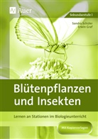 Gra, Erwi Graf, Erwin Graf, Kenk, Sandra Kenk, Sandra Schüler - Blütenpflanzen und Insekten
