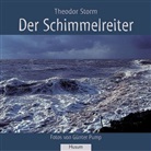 Theodor Storm, Günter Pump - Der Schimmelreiter