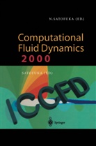 Nobuyuki Satofuka, Nobuyuk Satofuka, Nobuyuki Satofuka - Computational Fluid Dynamics 2000