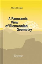 M. Berger, Marcel Berger - A Panoramic View of Riemannian Geometry
