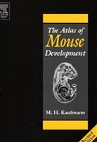 M. H. Kaufman, M.H. Kaufman, Matthew Kaufman, Matthew H Kaufman, Matthew H. Kaufman, Kaufman Matthew H. - The Atlas of Mouse Development