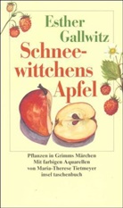 Esther Gallwitz, Maria-Therese Tietmeyer - Schneewittchens Apfel