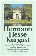 Hermann Hesse, Pieter Jos van Limbergen - Kurgast