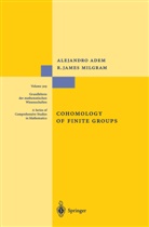 Alejandr Adem, Alejandro Adem, James R. Milgram, R James Milgram, R. James Milgram, Richard J. Milgram - Cohomology of Finite Groups