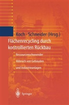 Ev Koch, Eva Koch, Schneider, Schneider, Ulrich Schneider - Flächenrecycling durch kontrollierten Rückbau