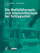 W. Hacke, S. Schwab, Hacke, Hacke, W. Hacke, Werner Hacke... - Die Notfalltherapie und Intensivtherapie bei Schlaganfall