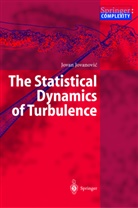 Jovan Jovanovic - The Statistical Dynamics of Turbulence
