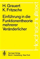 K. Fritzsche, Klaus Fritzsche, H. Grauert, Han Grauert, Hans Grauert - Einführung in die Funktionentheorie mehrerer Veränderlicher