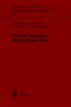 Erich Brenner, Erich et al Brenner, Helg Fritsch, Helga Fritsch, Lienemann, A Lienemann... - Clinical Anatomy of the Pelvic Floor