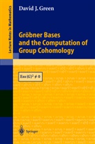 David J. Green - Gröbner Bases and the Computation of Group Cohomology