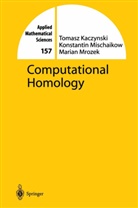 Tomas Kaczynski, Tomasz Kaczynski, Konstanti Mischaikow, Konstantin Mischaikow, M Mrozek, Marian Mrozek - Computational Homology