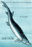 Erna Mohr - Der Stör