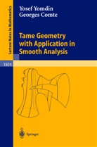 G. Comte, Georges Comte, Y. Yomdin, Yose Yomdin, Yosef Yomdin - Tame Geometry with Application in Smooth Analysis
