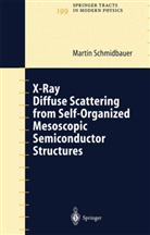 Martin Schmidbauer - X-Ray Diffuse Scattering from Self-Organized Mesoscopic Semiconductor Structures