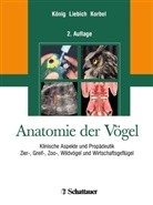 Hans G Liebich, Köni, Horst E. König, Horst Erich König, Korbe, Rüdige Korbel... - Anatomie der Vögel
