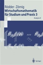 Wilhel Rödder, Wilhelm Rödder, Peter Zörnig - Wirtschaftsmathematik für Studium und Praxis - 3: Analysis. Tl.2