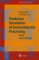 Jaroslaw Dabowski, Jare Dabrowski, Jarek Dabrowski, Jaroslaw Dabrowski, R Weber, R Weber... - Predictive Simulation of Semiconductor Processing