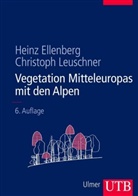 Hein Ellenberg, Heinz Ellenberg, Christoph Leuschner, Christoph (Prof. Dr.) Leuschner - Vegetation Mitteleuropas mit den Alpen in ökologischer, dynamischer und historischer Sicht