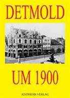 Stadt Detmold - Detmold um 1900
