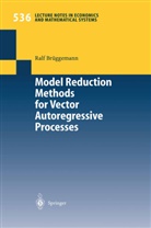 Ralf Brueggemann, R. Brüggemann, Ralf Brüggemann - Model Reduction Methods for Vector Autoregressive Processes