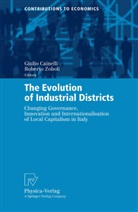 Giuli Cainelli, Giulio Cainelli, Zoboli, Zoboli, Roberto Zoboli - The Evolution of Industrial Districts