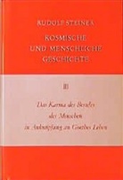 Rudolf Steiner, Rudolf Steiner Nachlassverwaltung - Kosmische und menschliche Geschichte - 3: Das Karma des Berufes des Menschen in Anknüpfung an Goethes Leben
