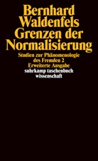 Bernhard Waldenfels - Grenzen der Normalisierung