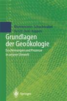 Barsch, Heiner Barsch, Oswal Blumenstein, Oswald Blumenstein, Hans-Rudolf Bork, Udo Küppers... - Grundlagen der Geoökologie